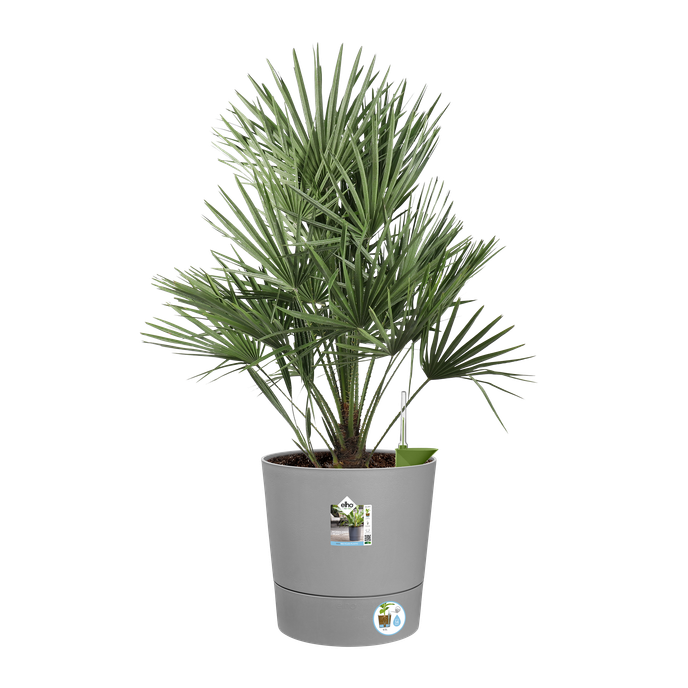 greensense aqua care rond 43cm licht beton